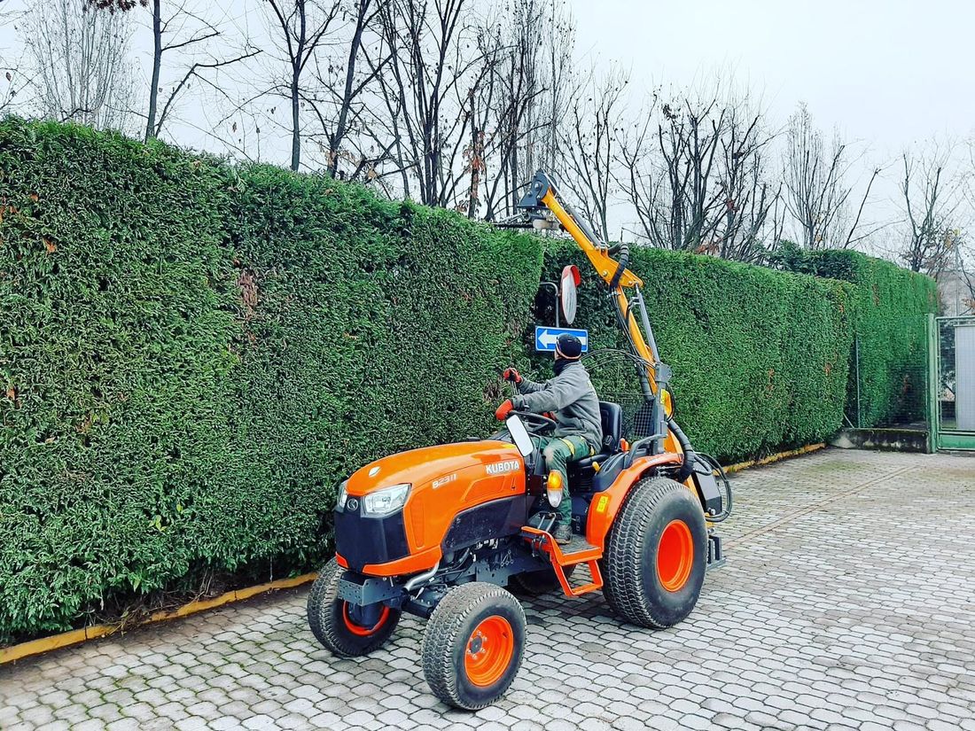cura di giardini pubblici