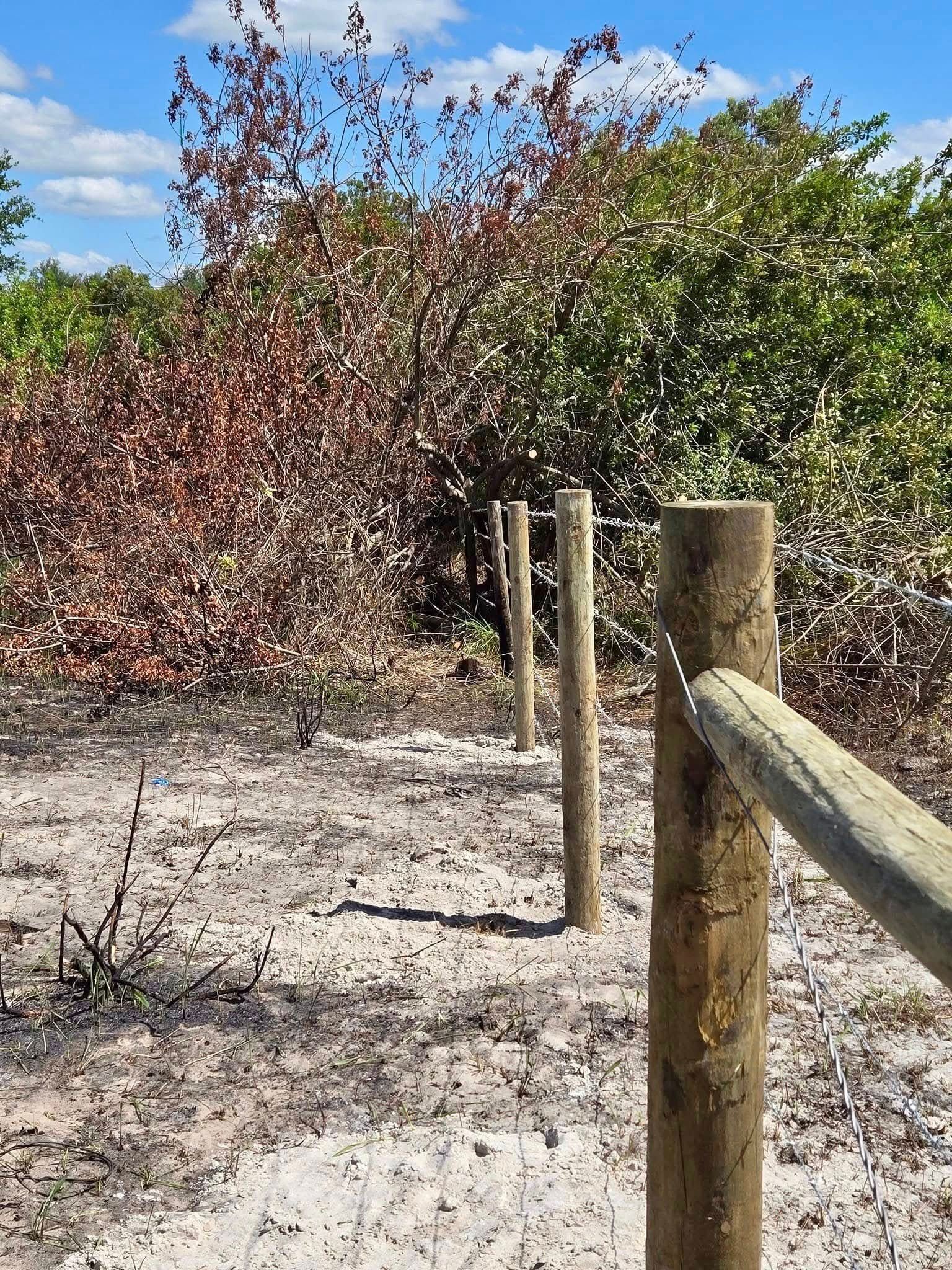 Wooden fence posts along a sandy trail beside dense green and reddish shrubs under a blue sky.