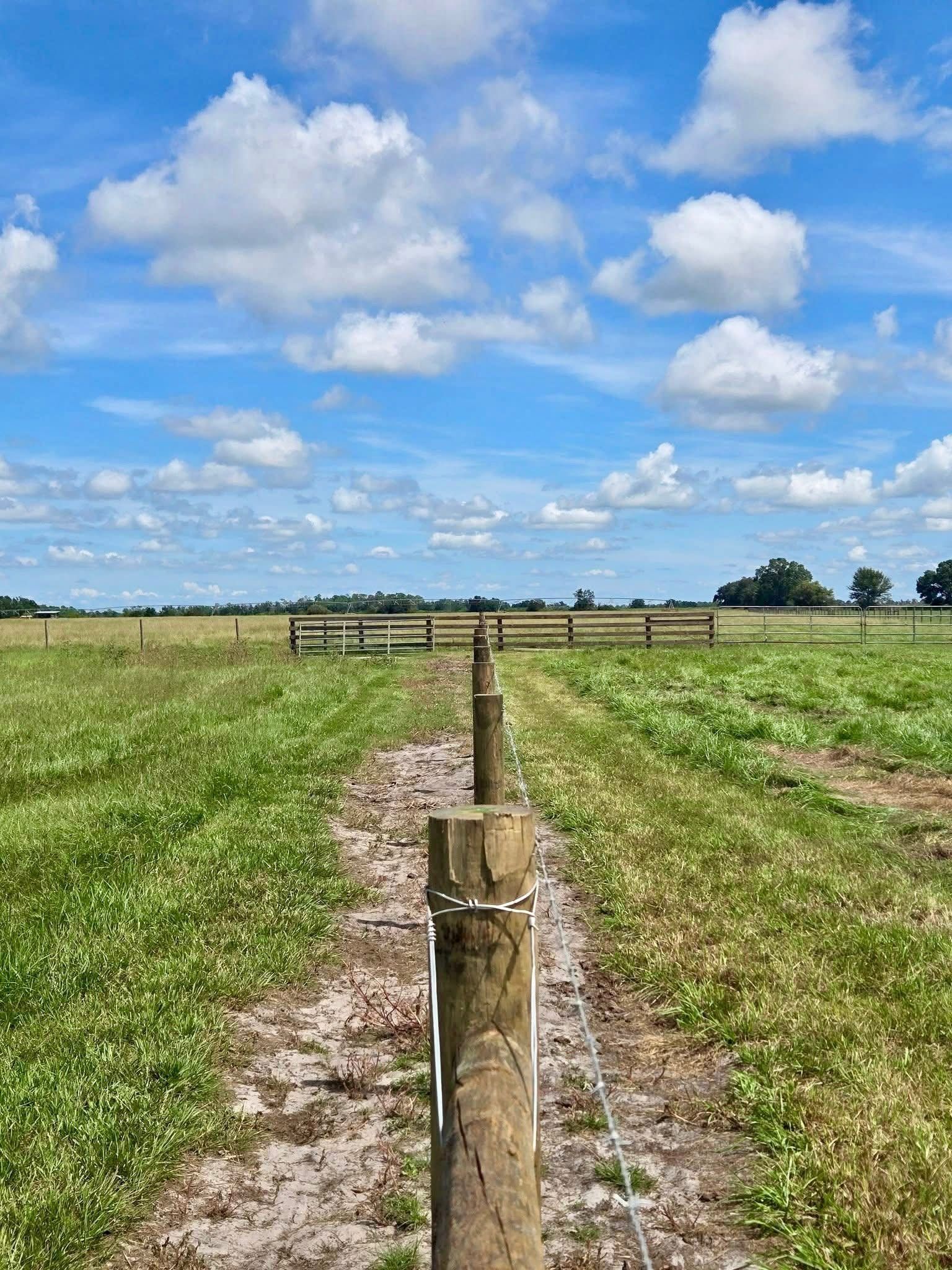 Wooden fence post leading through a grassy field under a blue sky with scattered clouds.