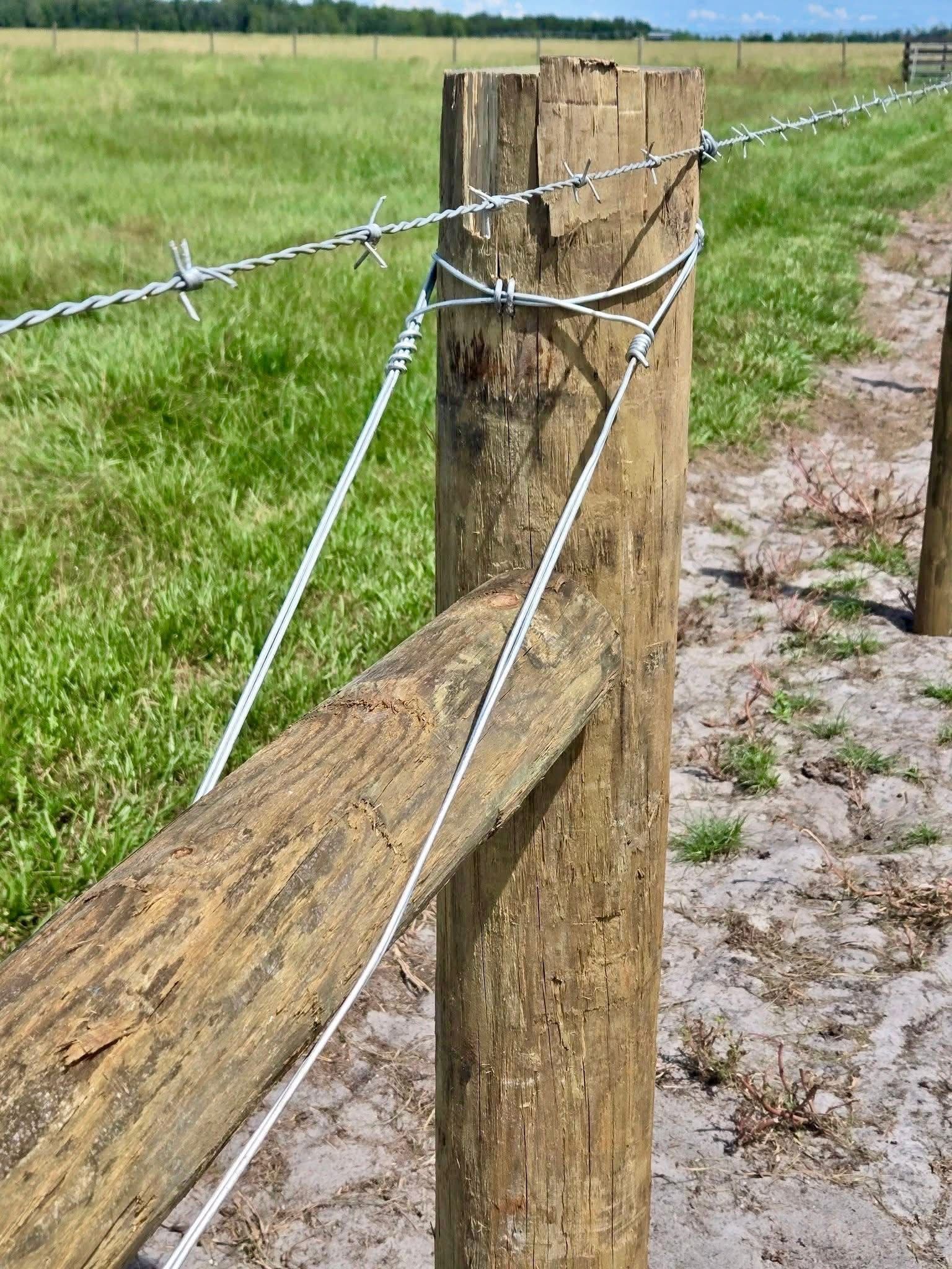 Wooden fence post with barbed wire and white electric fence tape along a grassy field edge