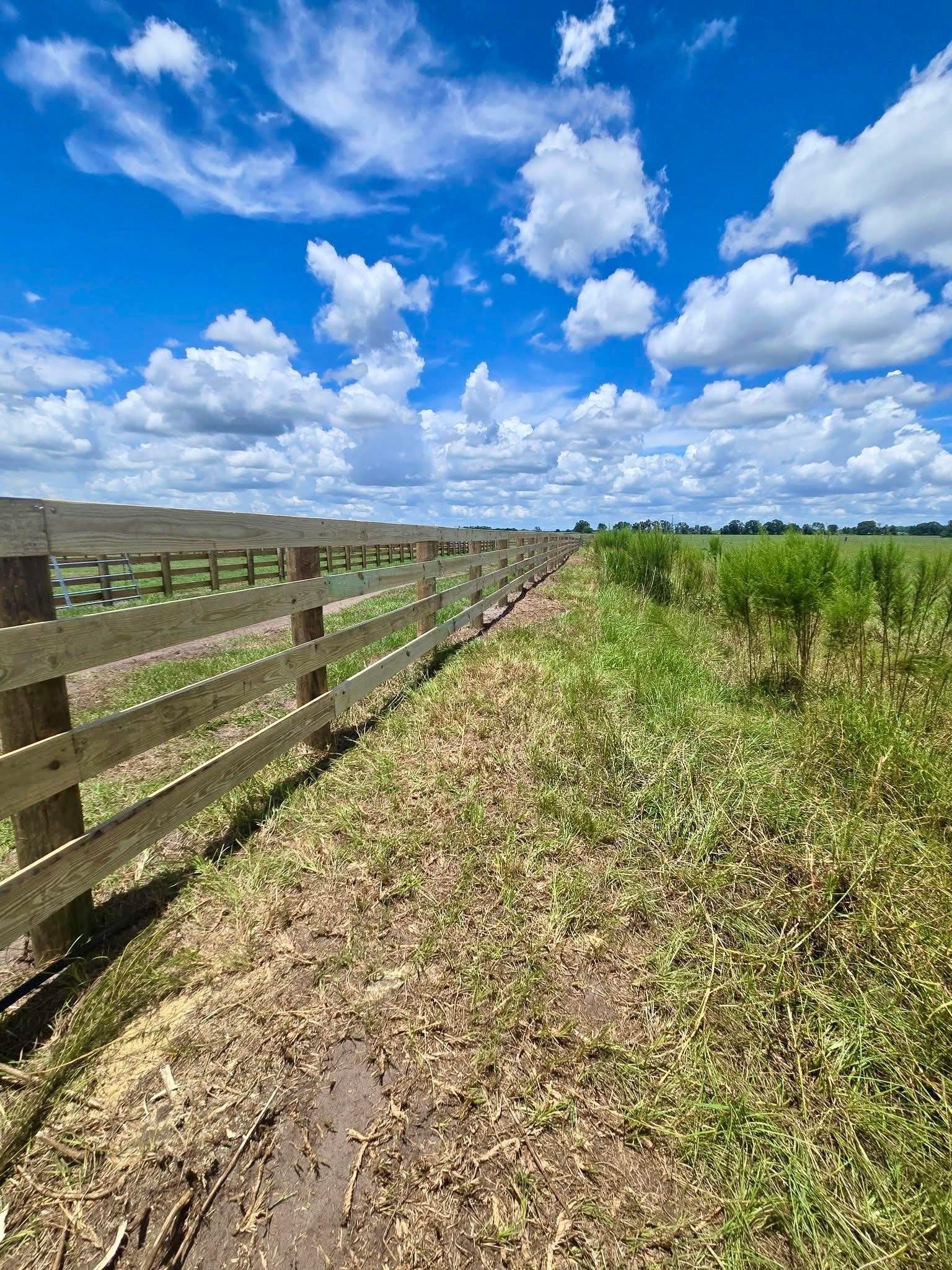 Wooden fence beside a grassy field under a bright blue sky with scattered clouds