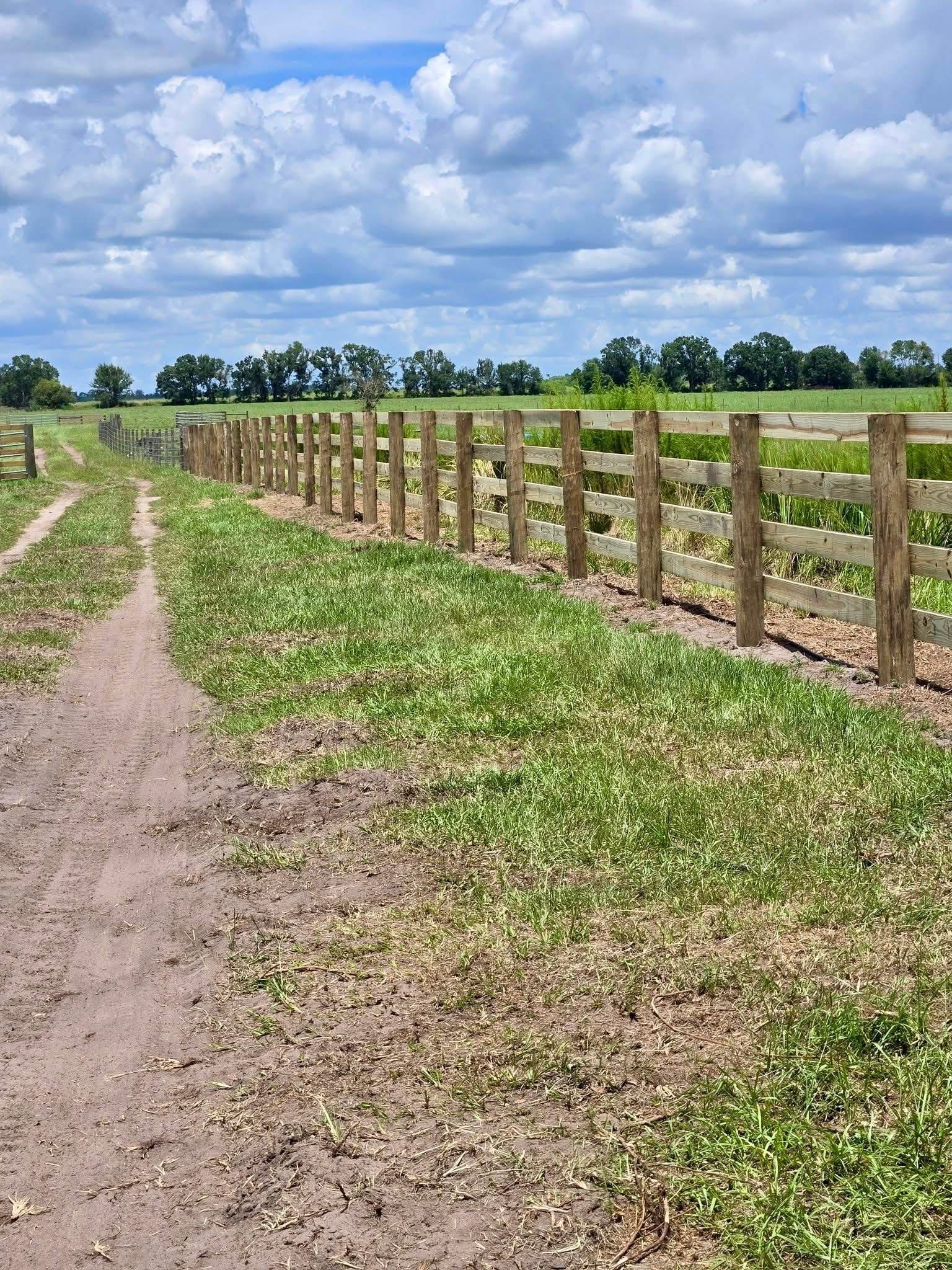 Dirt path beside a wooden fence through a green pasture under a cloudy sky