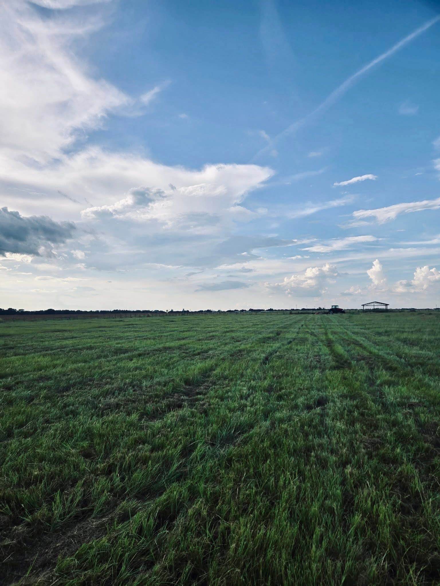 Wide green field under a blue sky with wispy white clouds and a distant treeline