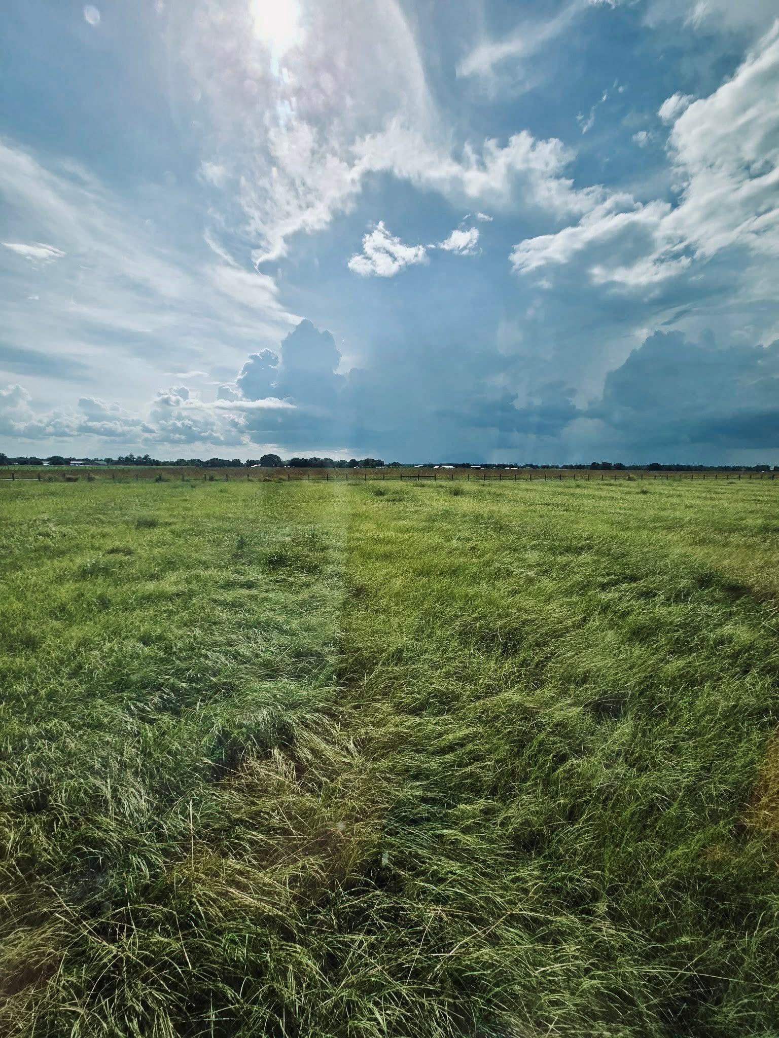 Green field under a dramatic cloudy blue sky with a narrow path leading into the distance