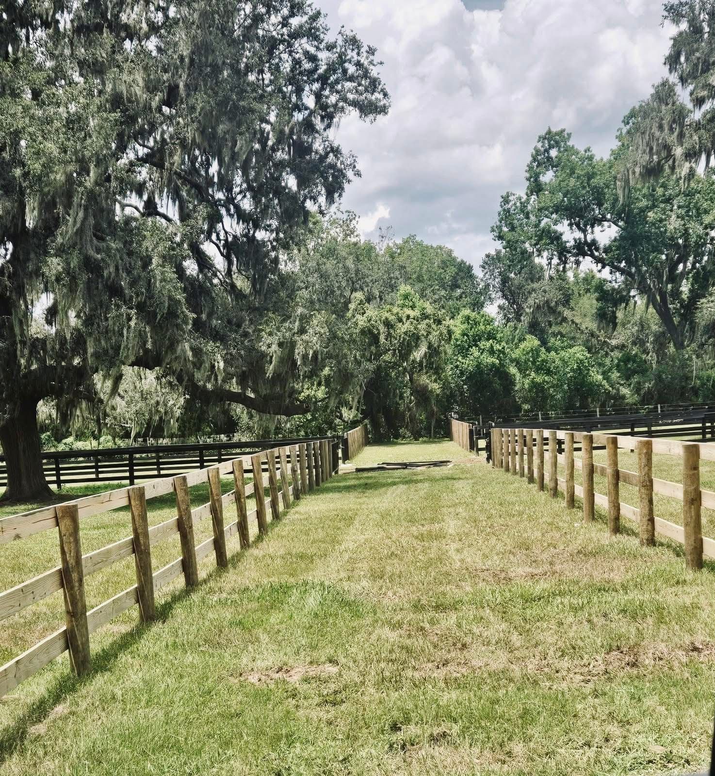 Grassy fenced path leading through a tree-lined field under a cloudy sky