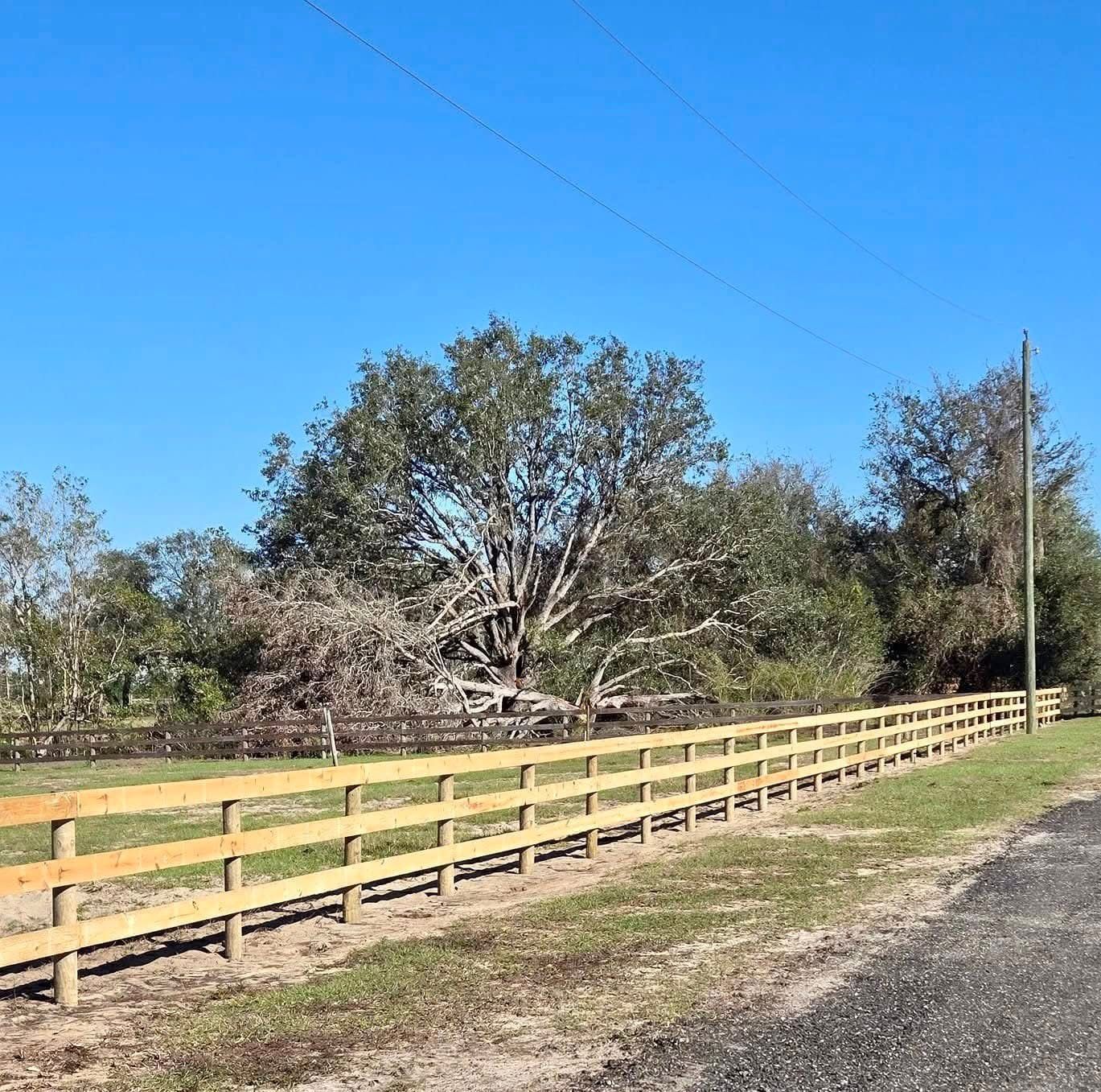 Rural fence line beside a dirt road under a clear blue sky, with trees in the background