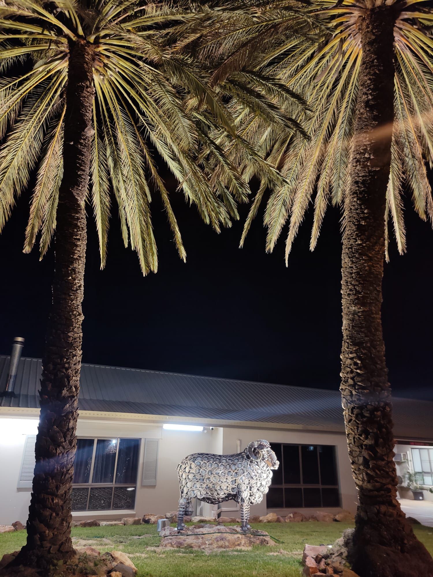 Lit house at night with two palm trees framing a lighted horse sculpture in the yard