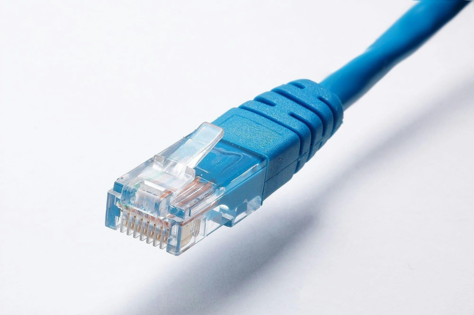 Blue Ethernet cable with an RJ45 connector on a white background
