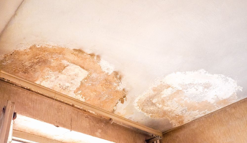 Water-damaged Ceiling With Peeling Paint and Brown Stains Above a Wall Corner — Southern Trade Services in Hobart, TAS 