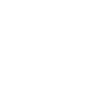 DS logo