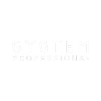 System Professional logo