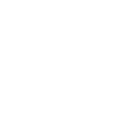 Promise logo