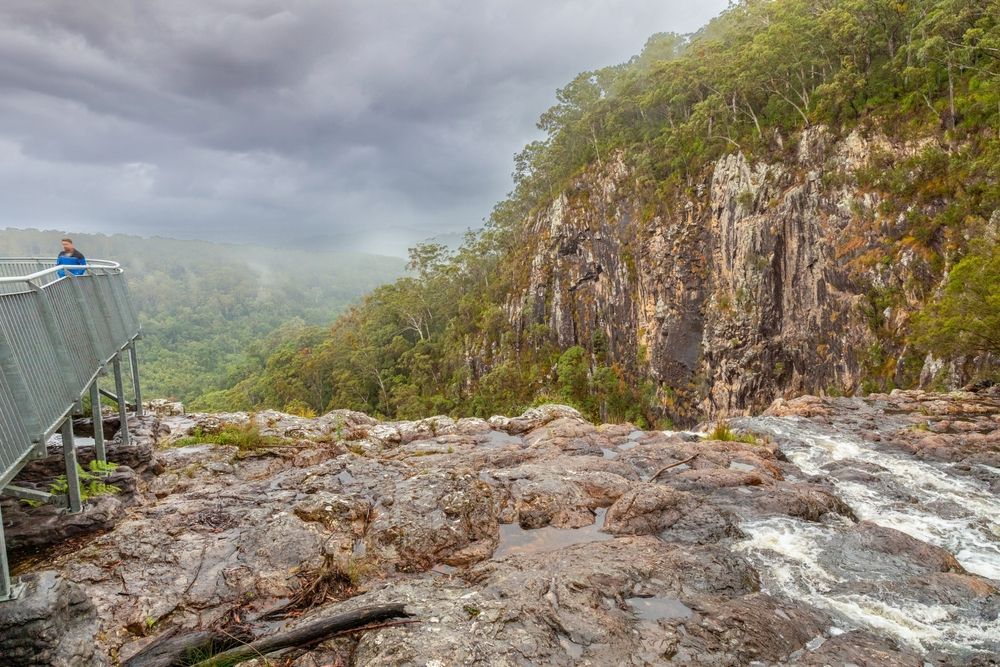 A Man is Standing on a Bridge Overlooking a Waterfall — Tallow Tree Services Pty Ltd in Alstonville, NSW