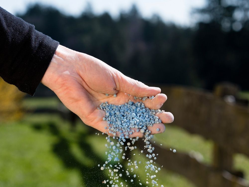 A Tree Fertilizer — Tree Services Byron Bay