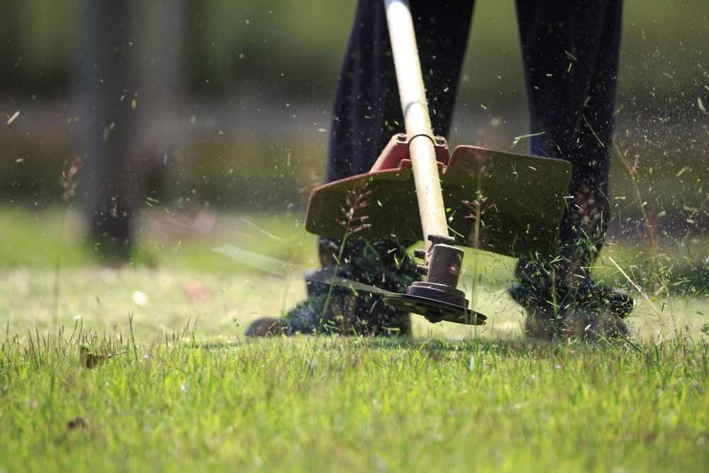 Gardener Cleaning The Garden Using Grass Trimmer — Tree Services Byron Bay