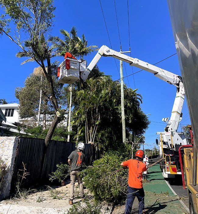 A Man in an Orange Shirt is Standing Next to a Crane Cutting a Tree — Tallow Tree Services Pty Ltd in Bangalow, NSW