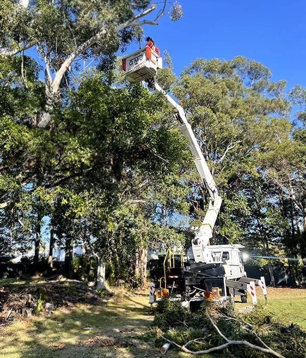 Tree Trimming Performed With Precision Using a White Crane — Tallow Tree Services Pty Ltd in Bangalow, NSW