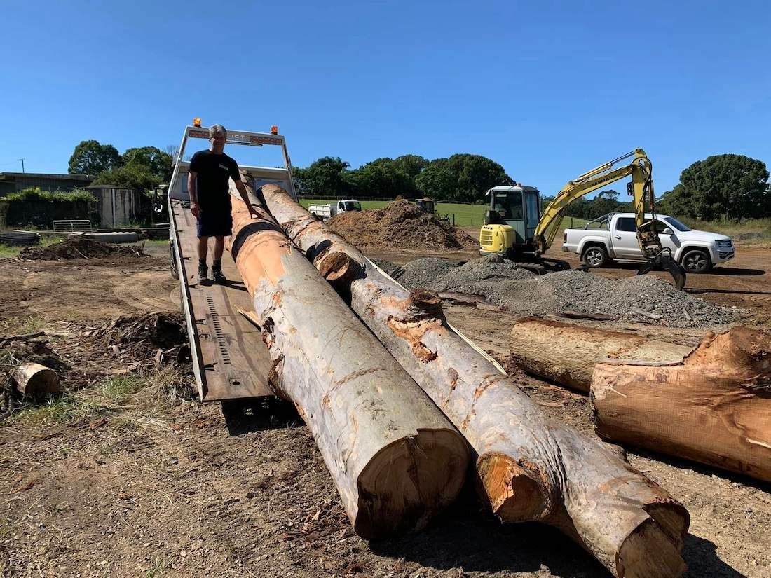 Large Tree Trunks Prepared For Stump Grinding In Byron Bay