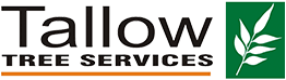 Tree Services Byron Bay Tree Services Byron Bay