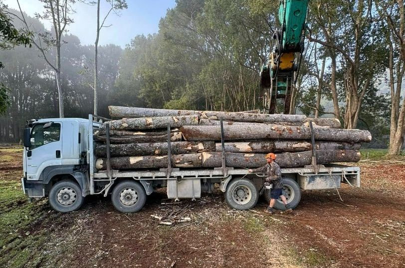 A Man is Standing Next to a Truck Loaded With Logs — Tallow Tree Services Pty Ltd in Kyogle, NSW