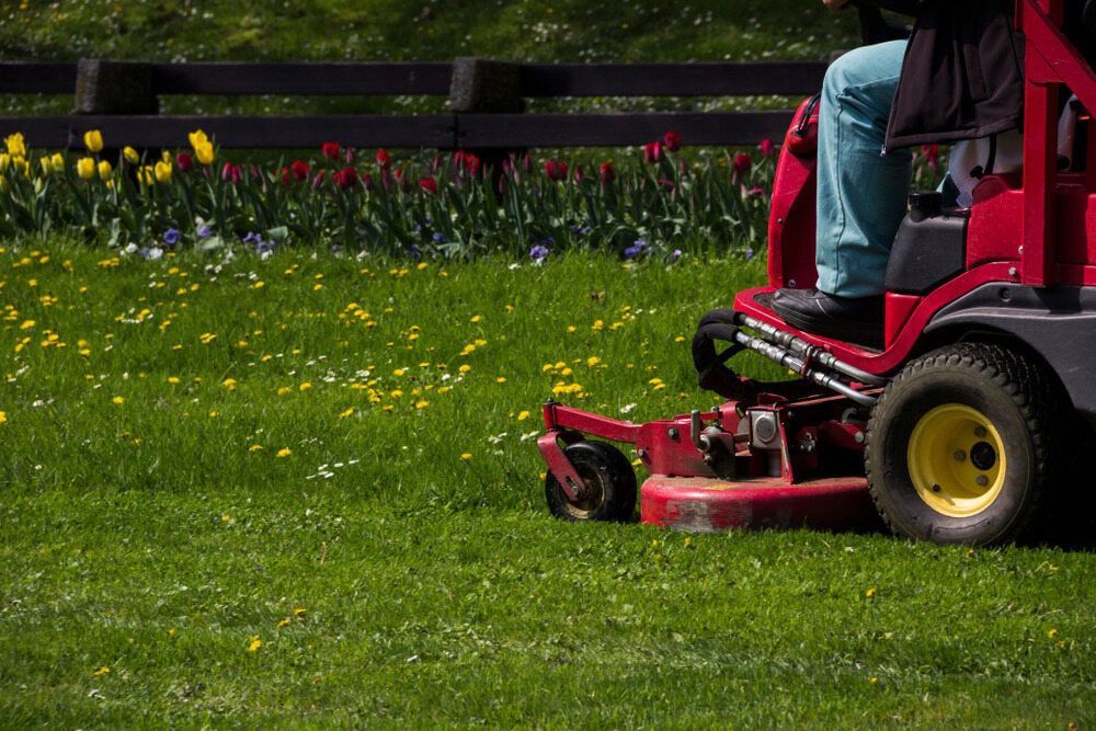 Efficient Lawn Mowing on a Vibrant, Green Field by Tallow Tree Services — Tree Services Bangalow NSW