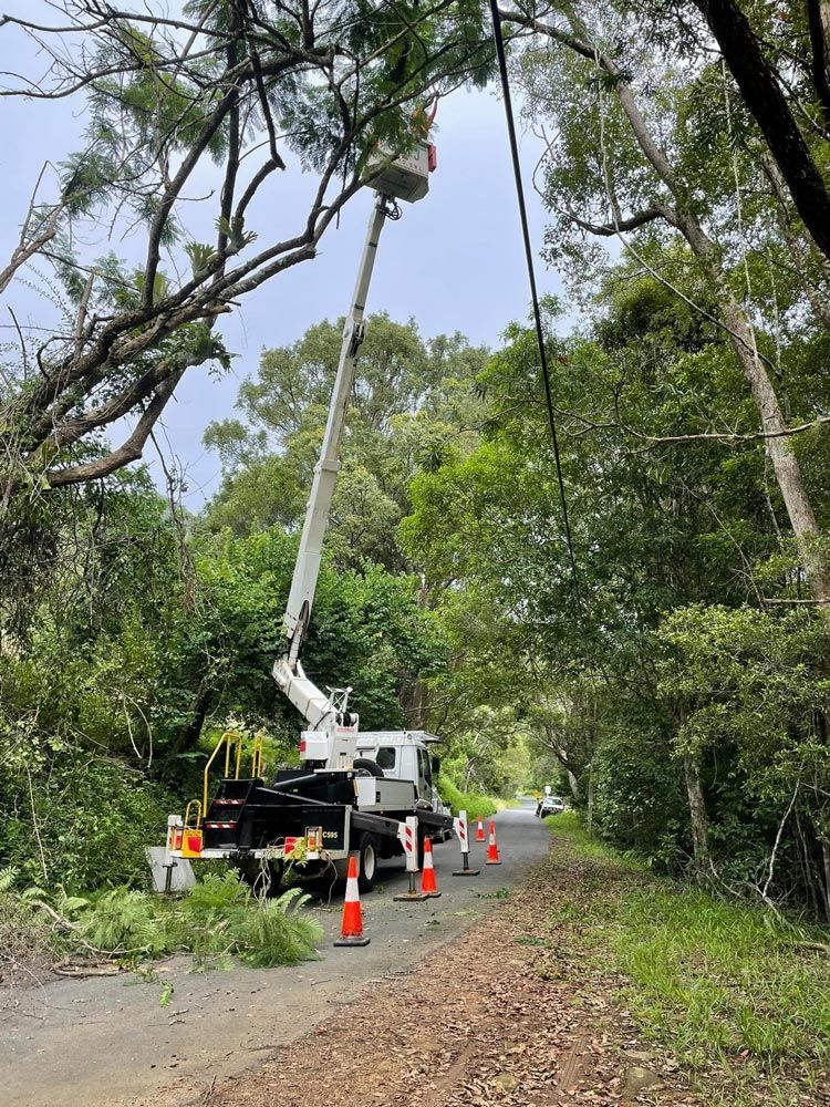Arborists On A White Crane