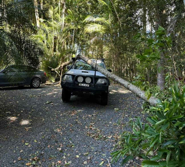 A Car is Parked in a Driveway With a Tree Fallen on It — Tallow Tree Services Pty Ltd in Kyogle, NSW