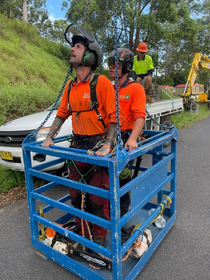 A Man in an Orange Shirt is Sitting in a Blue Crate — Tallow Tree Services Pty Ltd in Alstonville, NSW