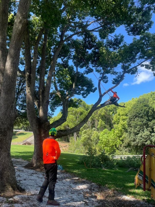 A Man in an Orange Shirt is Standing Next to a Tree — Tallow Tree Services Pty Ltd in Kyogle, NSW