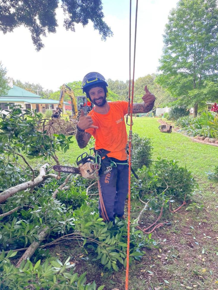 A Man is Standing Next to a Tree With a Chainsaw and Giving a Thumbs Up — Tallow Tree Services Pty Ltd in Bangalow, NSW