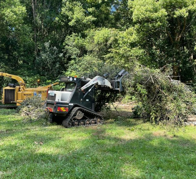 A Bulldozer is Cutting Down Trees in a Field — Tallow Tree Services Pty Ltd in Kyogle, NSW