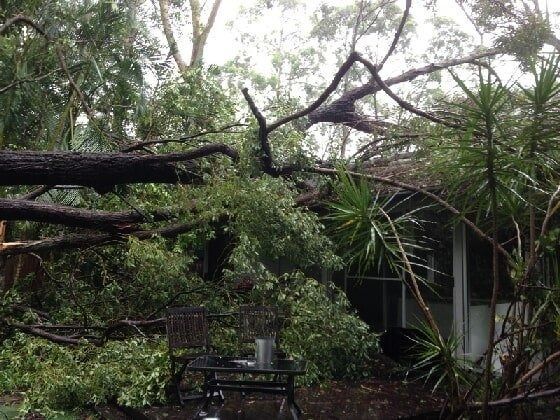 A tree has fallen on the roof of a house — Tree Services Byron Bay