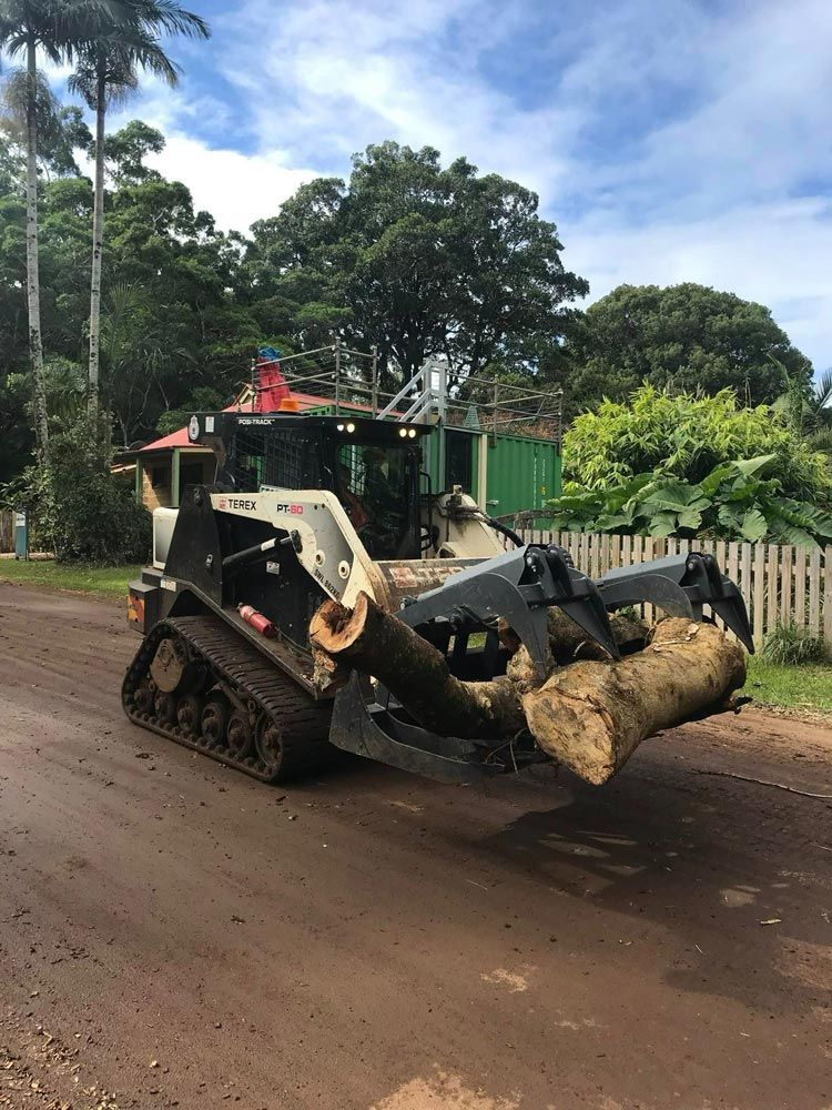 Moving A Chopped Tree