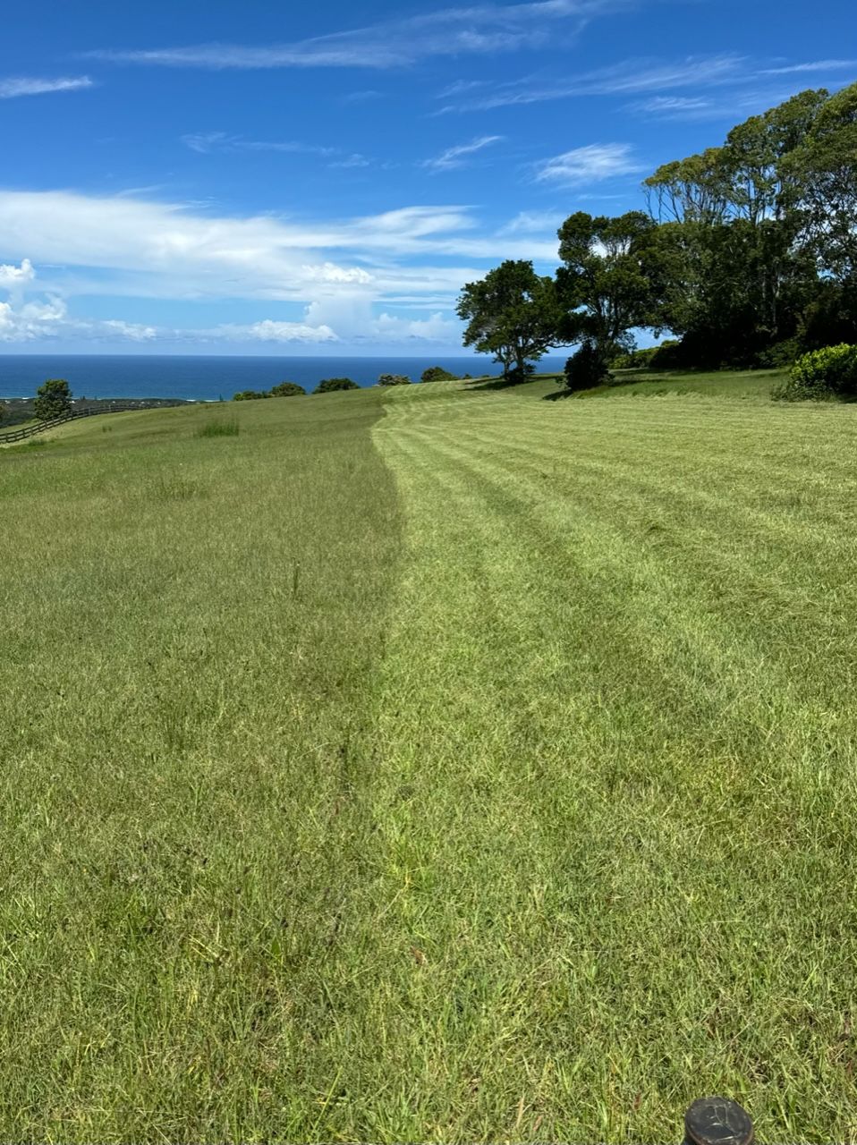A Lush Green Field With the Ocean in the Background — Tallow Tree Services Pty Ltd in Bangalow, NSW
