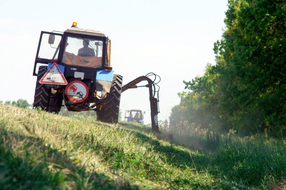 Precision Grass Cutting in The Field Using a Tractor — Tallow Tree Services Pty Ltd in Bangalow, NSW