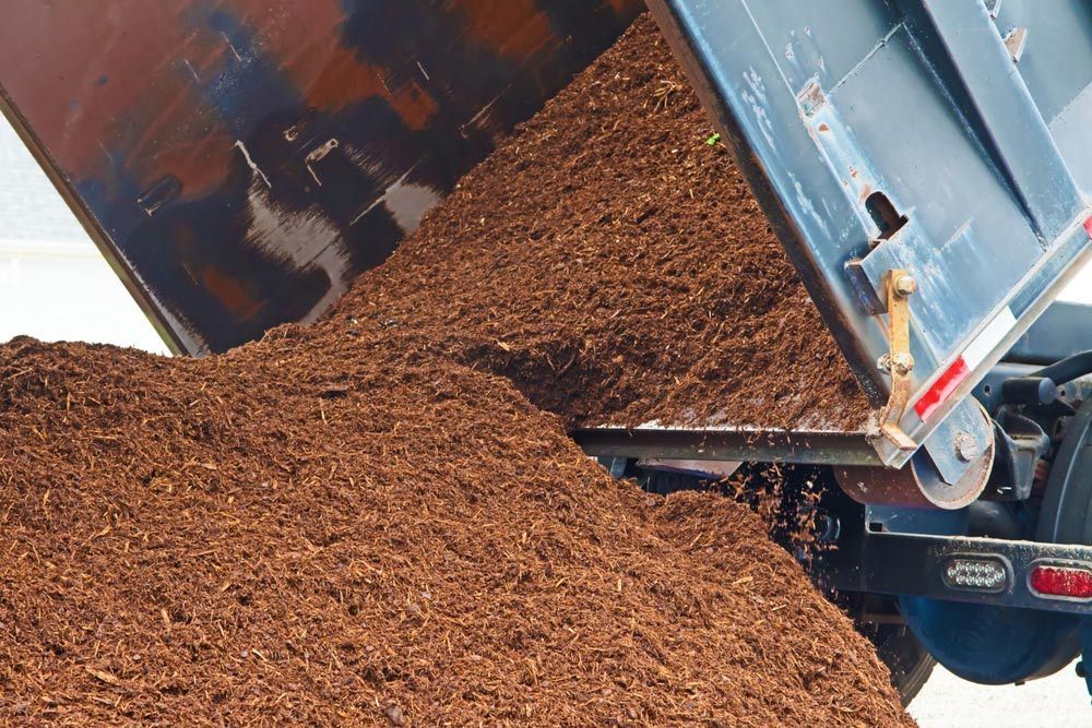 A Dump Truck is Being Loaded With a Pile of Brown Dirt — Tallow Tree Services Pty Ltd in Lismore, NSW