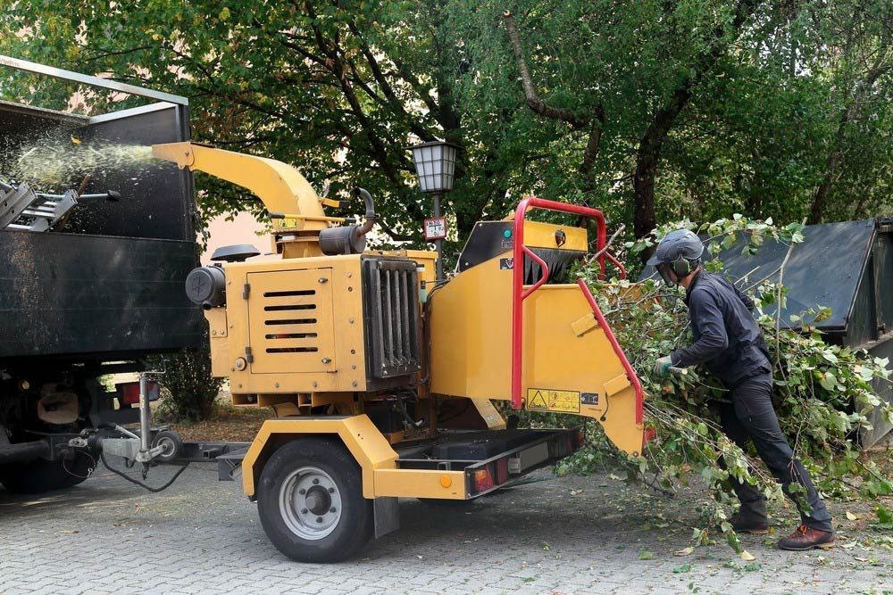 A Man is Putting Branches on a Tree Chipper — Tallow Tree Services Pty Ltd in Lismore, NSW