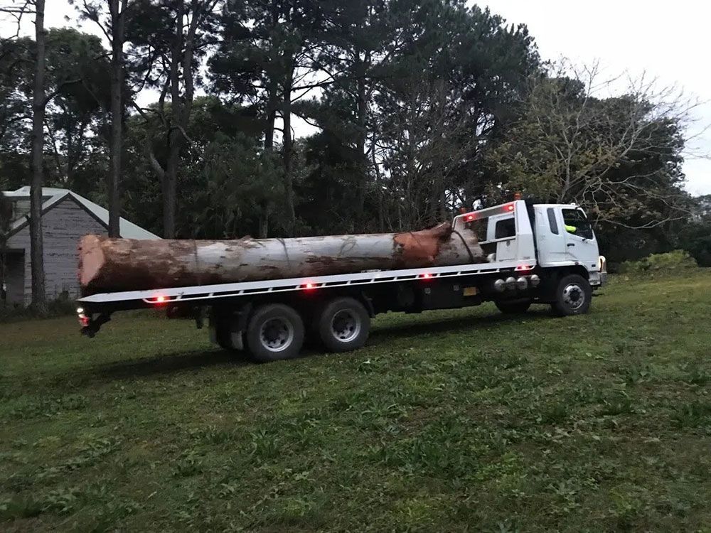Truck with a large log on the back — Tree Services Byron Bay