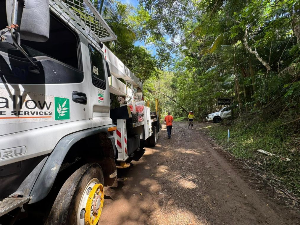Bulldozer is Digging a Hole in the Ground in The Woods — Tallow Tree Services Pty Ltd in Ballina, NSW