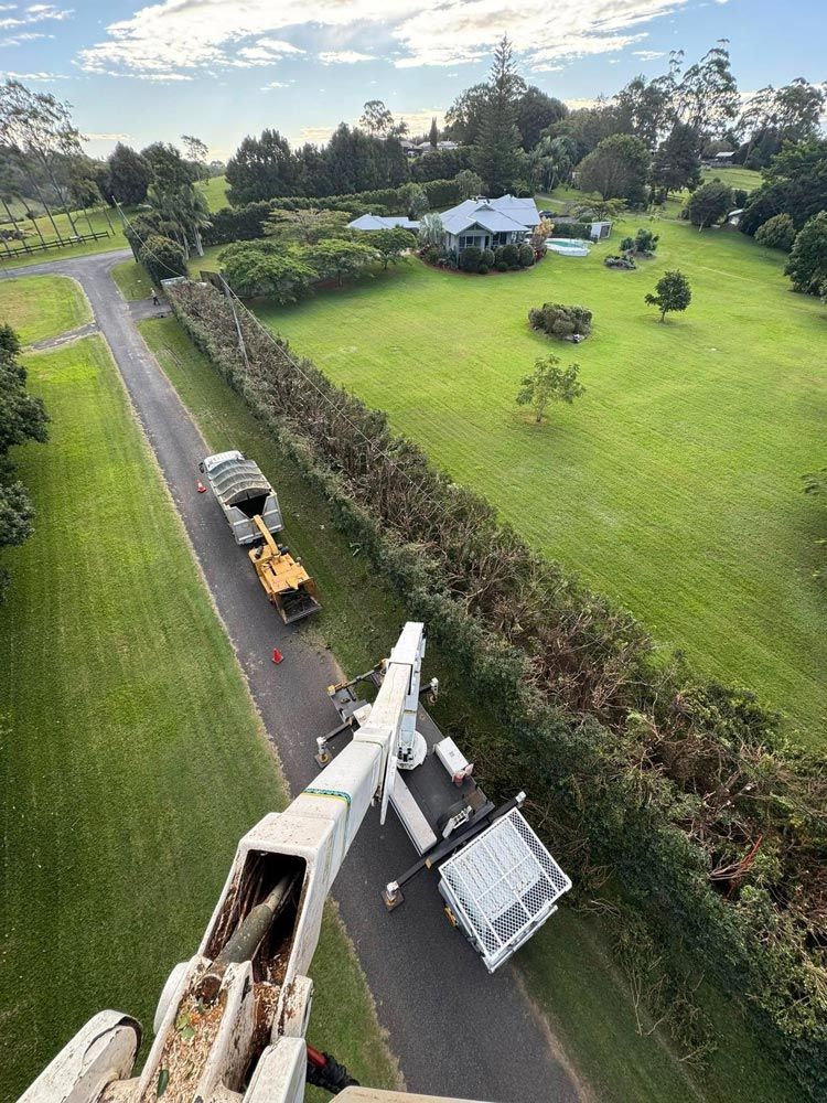 View From The Crane