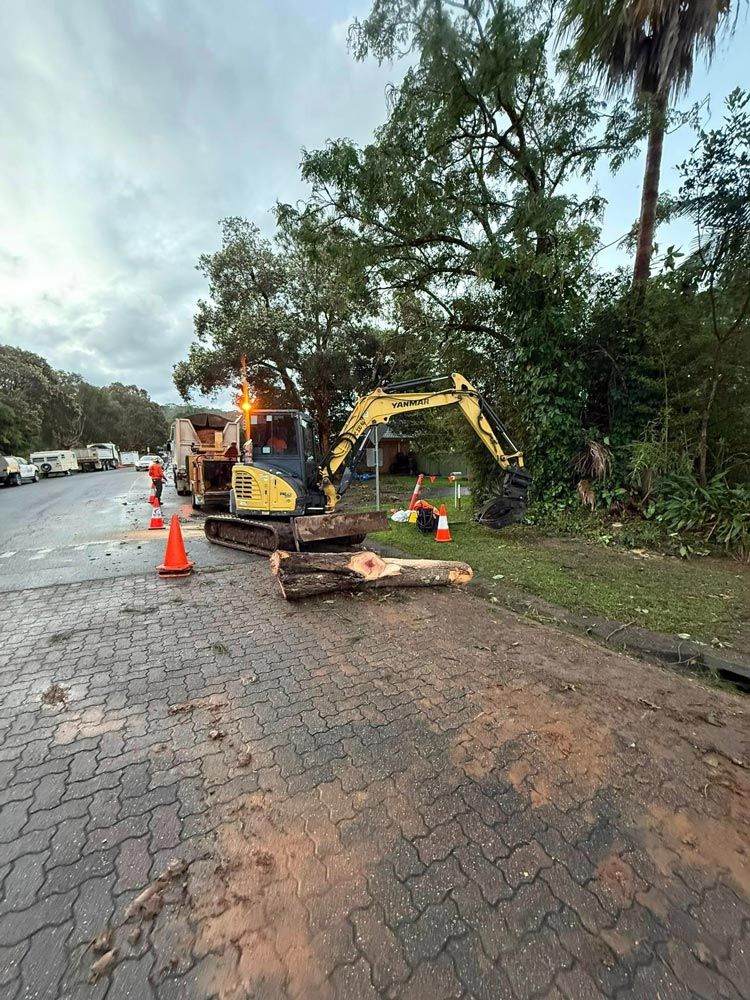 Yellow Crane On The Road With A Removed Tree