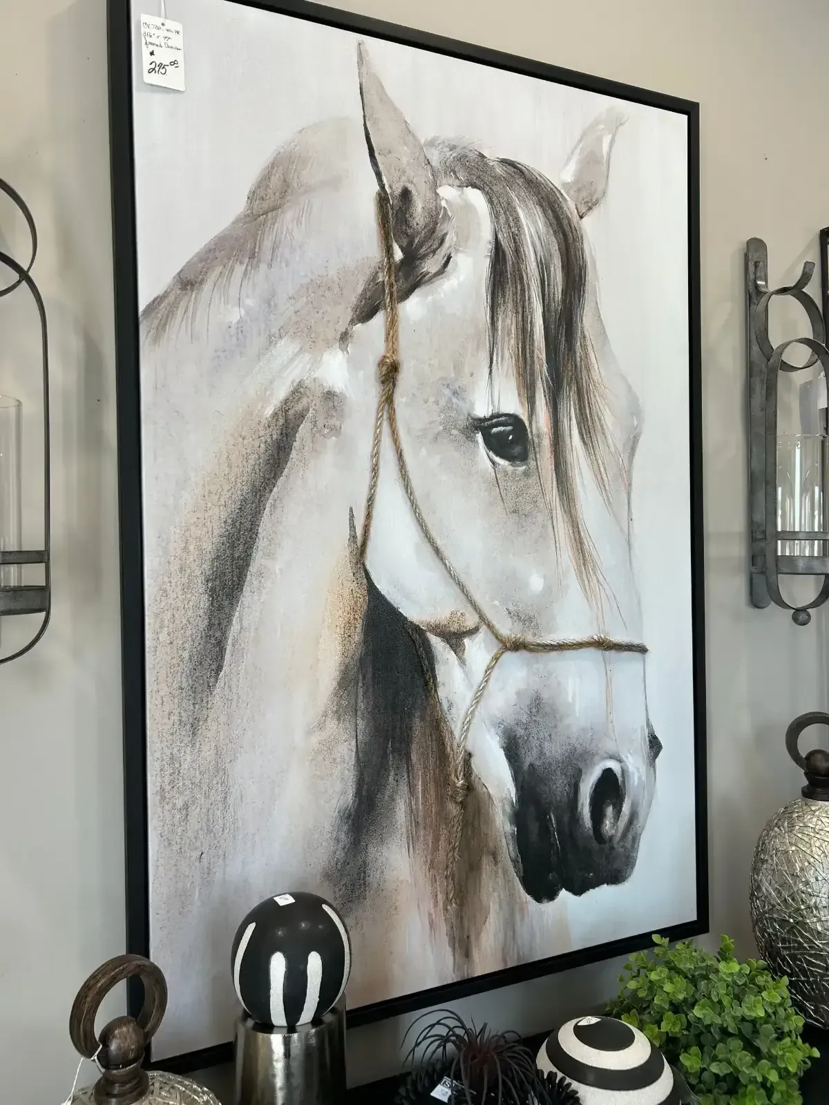 Framed watercolor horse portrait on a wall with decorative shelves and small plants
