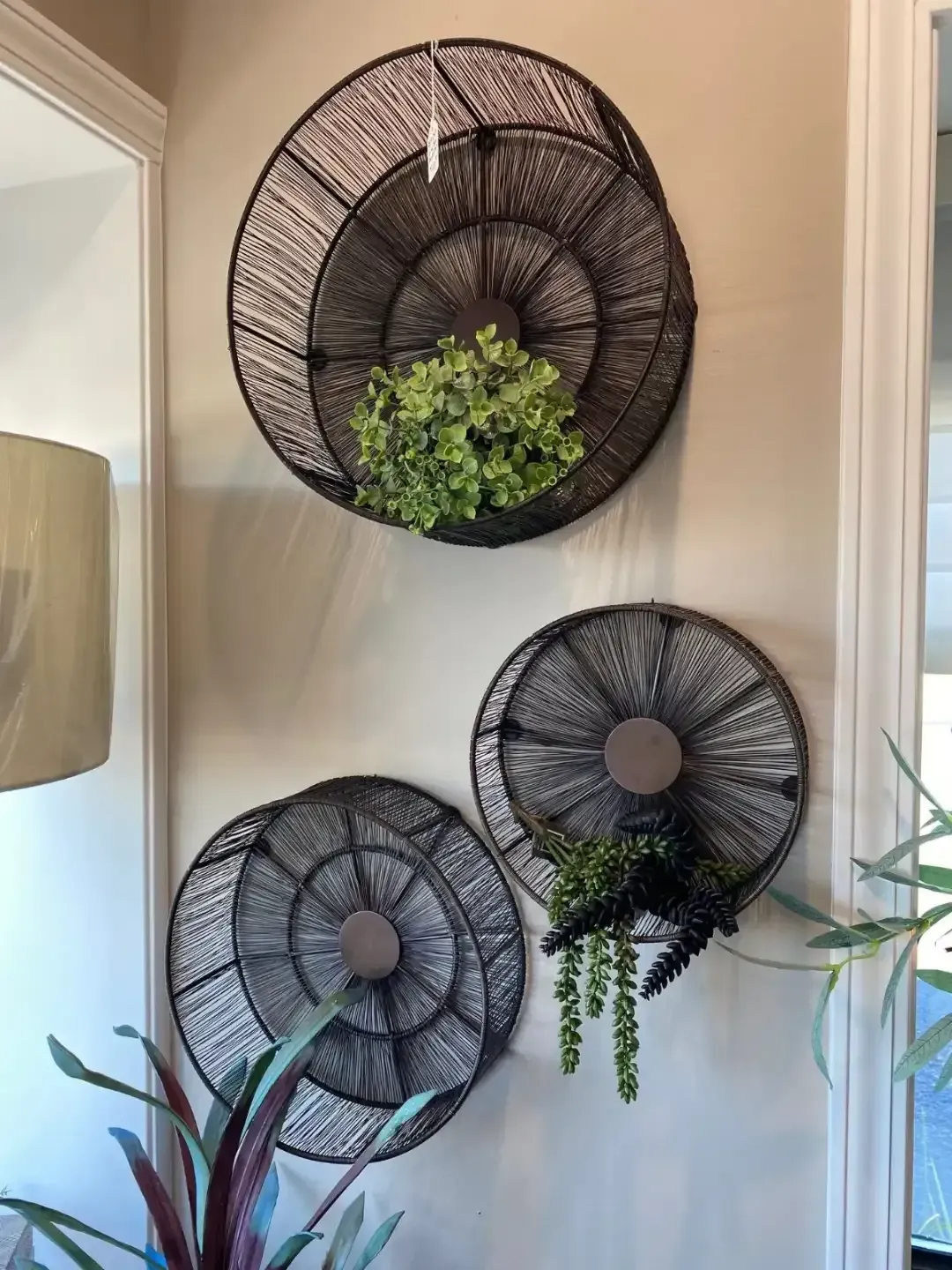 Decorative black wall baskets with green plants on a beige wall beside a mirror and window