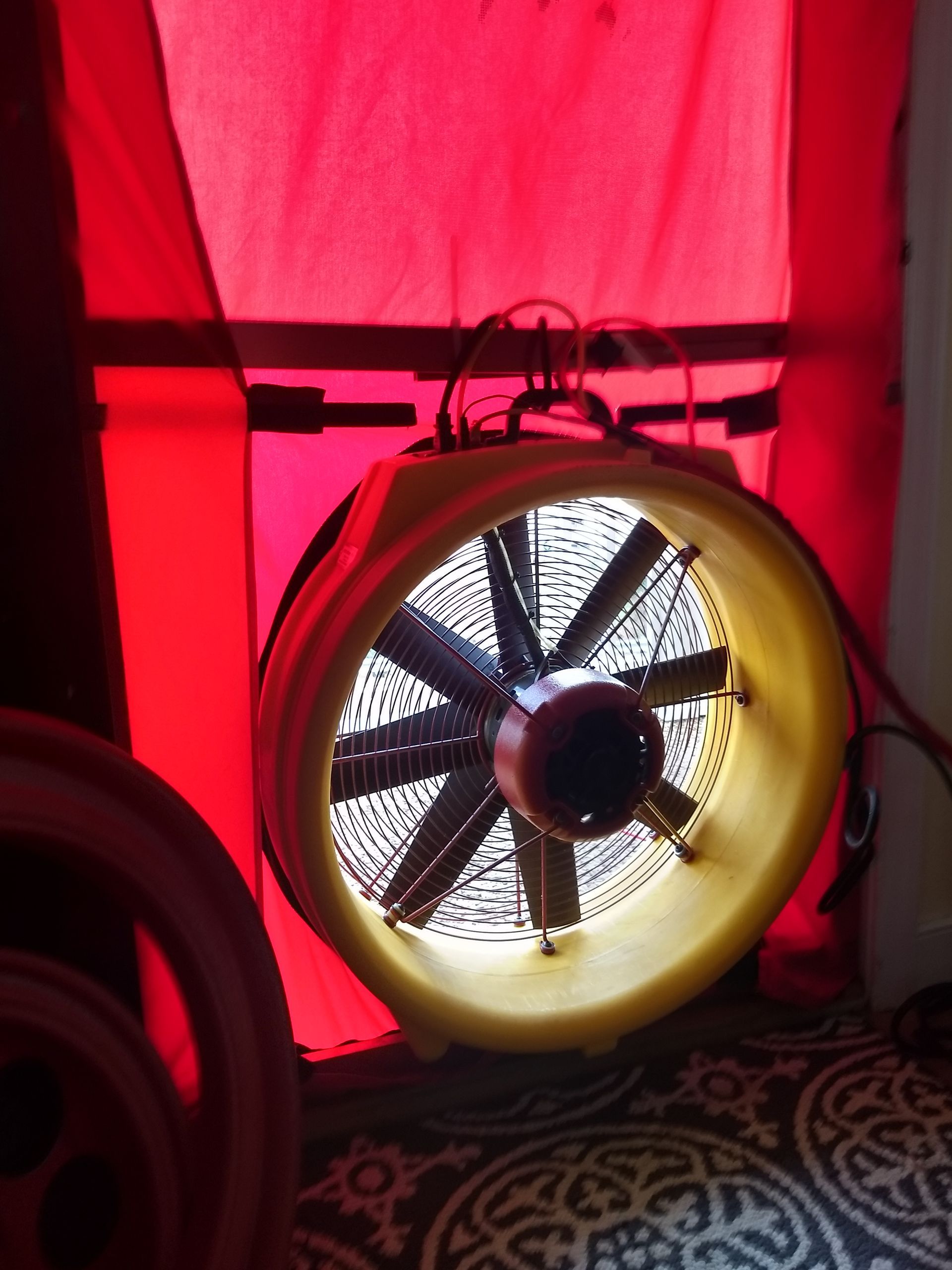 duct cleaning nearby