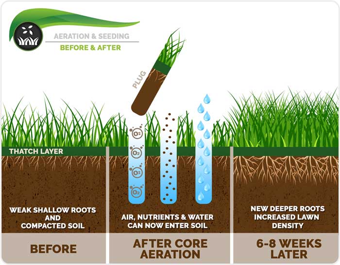 Before And After Of Lawn Aeration — Rochester, NY — Brandon's Services Before And After Of Lawn Aeration — Rochester, NY — Brandon's Services
