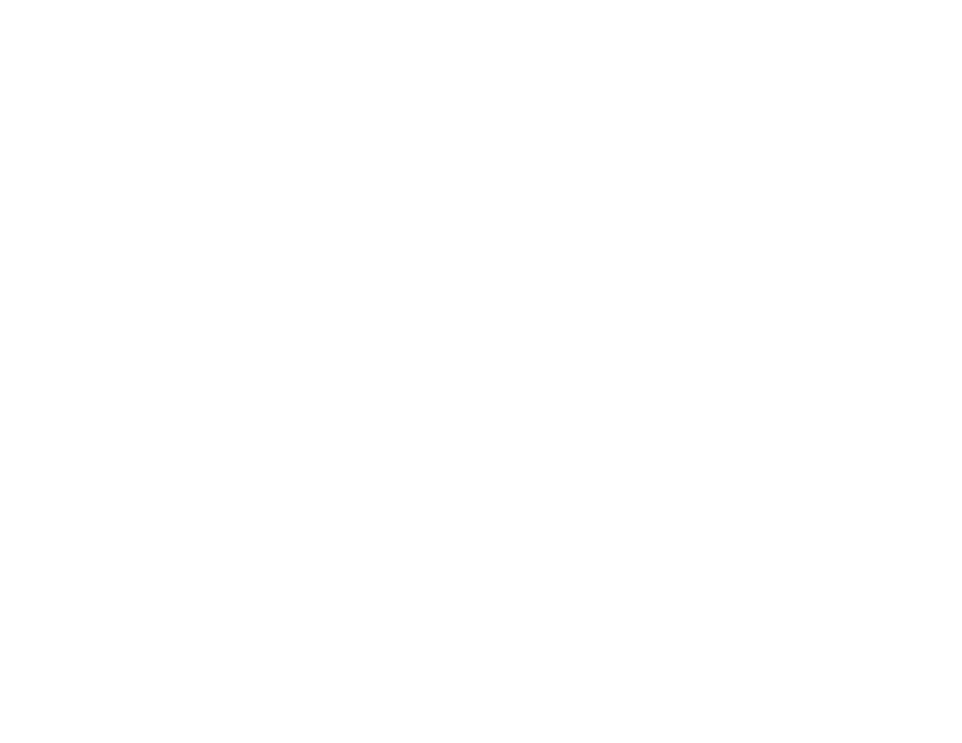 Company Logo - Footer