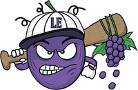 baseball team logo