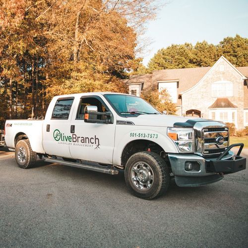 A white truck with the word olive branch on it