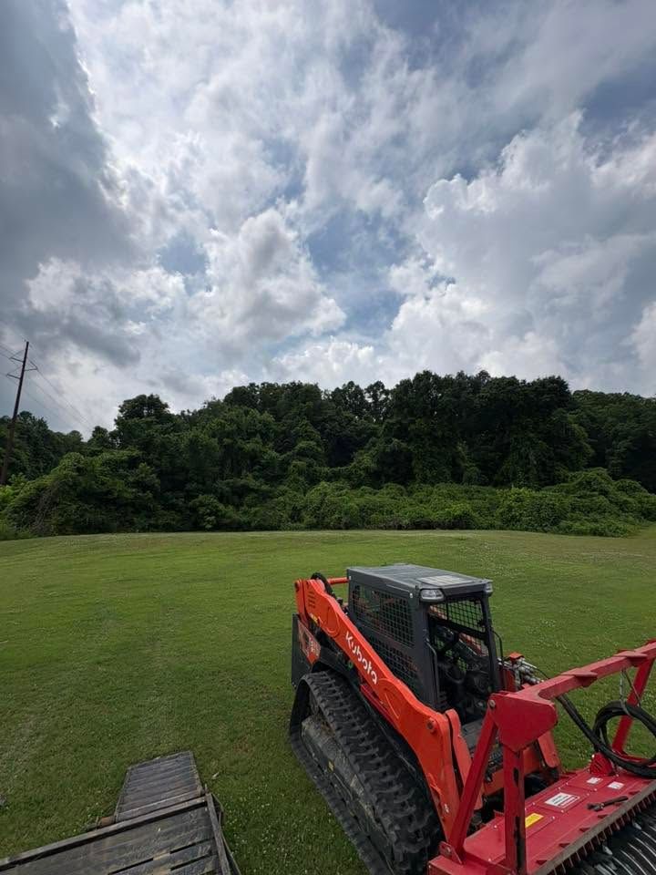 Red excavator on a grassy field under cloudy skies, with dense trees in the background.