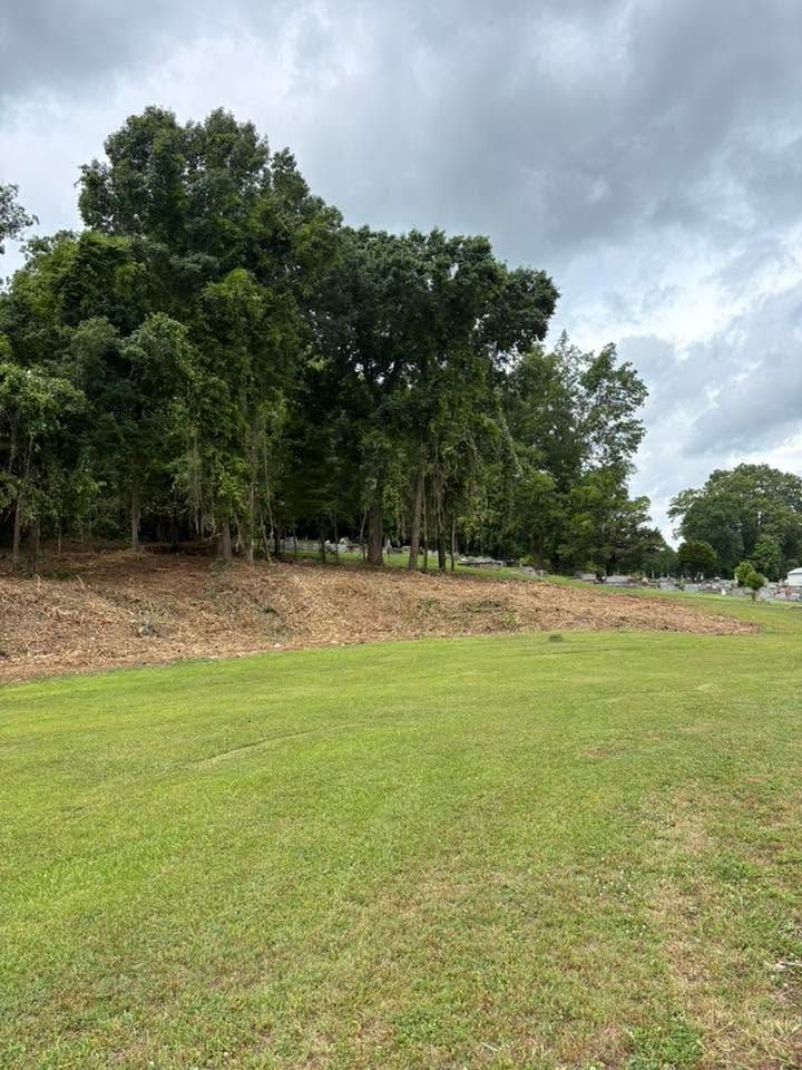 Grassy field beside a wooded hillside under a cloudy sky